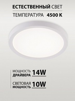 Накладной светильник Natali Kovaltseva PLAIN LED LAMPS 81113/1C в Тюмени - tumen.ok-mebel.com | фото 4