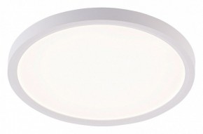Накладной светильник Natali Kovaltseva PLAIN LED LAMPS 81113/2C в Тюмени - tumen.ok-mebel.com | фото
