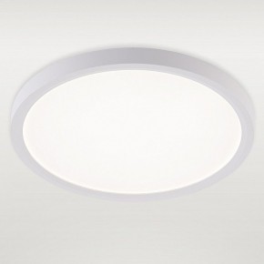 Накладной светильник Natali Kovaltseva PLAIN LED LAMPS 81113/2C в Тюмени - tumen.ok-mebel.com | фото 2
