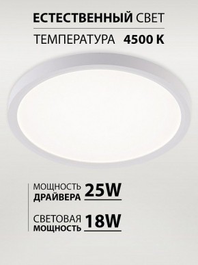 Накладной светильник Natali Kovaltseva PLAIN LED LAMPS 81113/2C в Тюмени - tumen.ok-mebel.com | фото 3