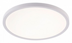 Накладной светильник Natali Kovaltseva PLAIN LED LAMPS 81113/3C в Тюмени - tumen.ok-mebel.com | фото