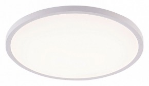 Накладной светильник Natali Kovaltseva PLAIN LED LAMPS 81113/5C в Тюмени - tumen.ok-mebel.com | фото