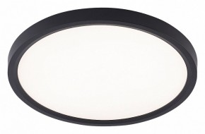 Накладной светильник Natali Kovaltseva PLAIN LED LAMPS 81114/2C в Тюмени - tumen.ok-mebel.com | фото