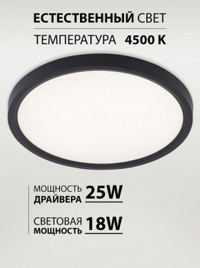 Накладной светильник Natali Kovaltseva PLAIN LED LAMPS 81114/2C в Тюмени - tumen.ok-mebel.com | фото 3