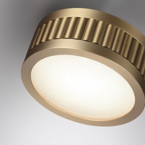 Накладной светильник Odeon Light Manchester 7013/7CL в Тюмени - tumen.ok-mebel.com | фото 5
