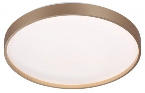 Накладной светильник Sonex Gaby 7783/DL в Тюмени - tumen.ok-mebel.com | фото 3
