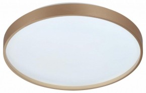 Накладной светильник Sonex Gaby 7783/DL в Тюмени - tumen.ok-mebel.com | фото 4
