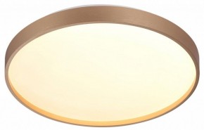 Накладной светильник Sonex Gaby 7783/DL в Тюмени - tumen.ok-mebel.com | фото 5