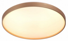 Накладной светильник Sonex Gaby 7783/EL в Тюмени - tumen.ok-mebel.com | фото 5
