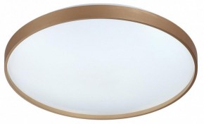 Накладной светильник Sonex Gaby 7783/EL в Тюмени - tumen.ok-mebel.com | фото 6