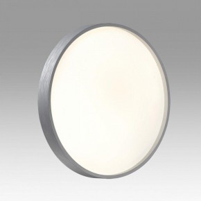 Накладной светильник Sonex Gaby 7784/CL в Тюмени - tumen.ok-mebel.com | фото 2