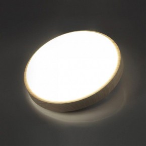 Накладной светильник Sonex Losta 7607/AL в Тюмени - tumen.ok-mebel.com | фото 3