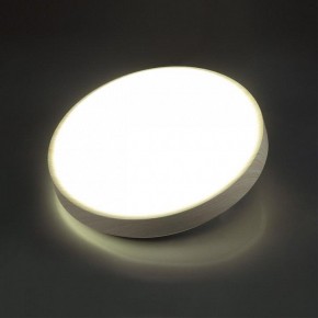 Накладной светильник Sonex Losta 7628/EL в Тюмени - tumen.ok-mebel.com | фото 3