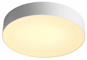 Накладной светильник Sonex Optima 7779/DL в Тюмени - tumen.ok-mebel.com | фото 6