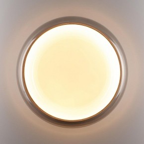 Накладной светильник Sonex PORTMAN 7777/DLN в Тюмени - tumen.ok-mebel.com | фото 6