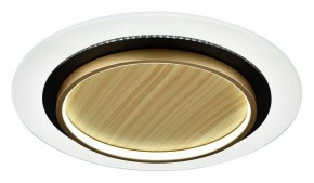 Накладной светильник Sonex Sunny 7731/80L в Тюмени - tumen.ok-mebel.com | фото