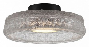Накладной светильник ST-Luce ANTIKE SL6143.402.01 в Тюмени - tumen.ok-mebel.com | фото 2