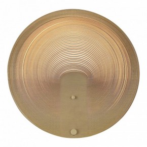 Накладной светильник ST-Luce Fossil SL6900.501.16 в Тюмени - tumen.ok-mebel.com | фото 2