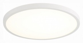 Накладной светильник ST-Luce ST601 ST601.532.18 в Тюмени - tumen.ok-mebel.com | фото 1