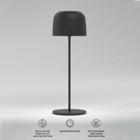 Настольная лампа декоративная Elektrostandard Bitty a069002 в Тюмени - tumen.ok-mebel.com | фото 2