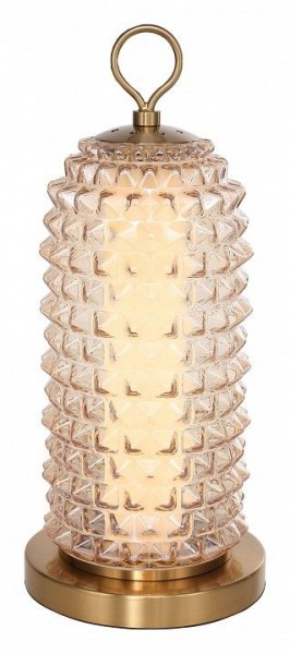 Настольная лампа декоративная ST-Luce SAGUARO SL6144.304.01 в Тюмени - tumen.ok-mebel.com | фото 2