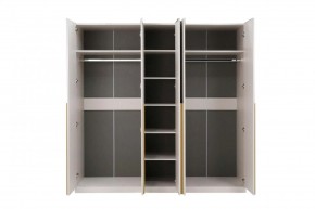 НИКОЛЬ 25 Шкаф 5-ти створчатый в Тюмени - tumen.ok-mebel.com | фото 3