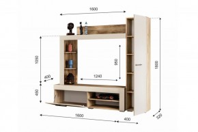 НИКОЛЬ Гостиная (Дуб крафт серый/софт айвори) в Тюмени - tumen.ok-mebel.com | фото 2