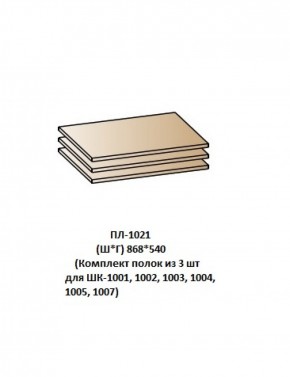 ПЛ-1021 (Комплект полок из 3 шт для ШК-1001, 1002, 1003, 1004, 1005, 1007) в Тюмени - tumen.ok-mebel.com | фото