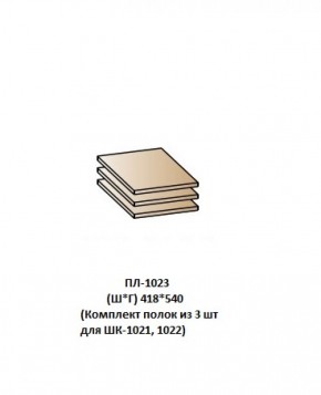 ПЛ-1023 (Комплект полок из 3 шт для ШК-1021, 1022) в Тюмени - tumen.ok-mebel.com | фото