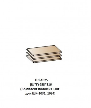ПЛ-1025 (Комплект полок из 3 шт для ШК-1031, 1034) в Тюмени - tumen.ok-mebel.com | фото