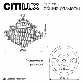 Подвесная люстра Citilux Naiad CL315192 в Тюмени - tumen.ok-mebel.com | фото 6