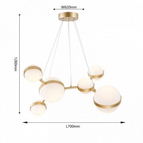 Подвесная люстра Favourite Asterismo 4448-6P в Тюмени - tumen.ok-mebel.com | фото 5