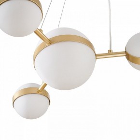 Подвесная люстра Favourite Asterismo 4448-6P в Тюмени - tumen.ok-mebel.com | фото 7