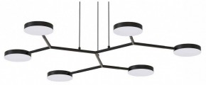 Подвесная люстра Favourite Vorago 4632-6P в Тюмени - tumen.ok-mebel.com | фото