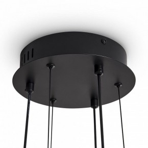Подвесная люстра Freya Brilliance FR5557PL-L22B1 в Тюмени - tumen.ok-mebel.com | фото 10
