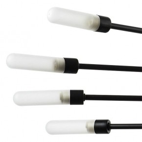 Подвесная люстра Lightstar Ragno 733187 в Тюмени - tumen.ok-mebel.com | фото 5