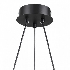Подвесная люстра Lumion Lamina 8233/6 в Тюмени - tumen.ok-mebel.com | фото 8