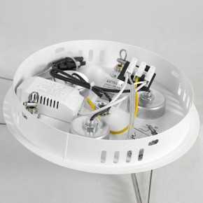 Подвесная люстра Lussole Cuscino GRLSP-8602 в Тюмени - tumen.ok-mebel.com | фото 7
