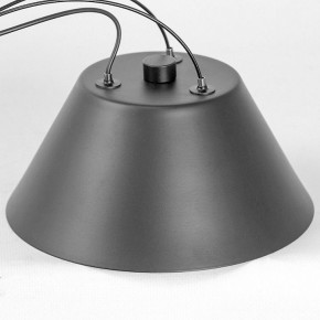 Подвесная люстра Lussole Hopkins LSP-7408 в Тюмени - tumen.ok-mebel.com | фото 7