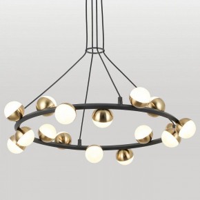Подвесная люстра Lussole  LSP-6046 в Тюмени - tumen.ok-mebel.com | фото