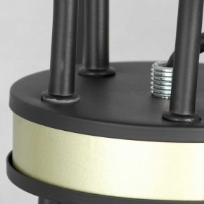 Подвесная люстра Lussole Roosevelt LSP-8198 в Тюмени - tumen.ok-mebel.com | фото 5