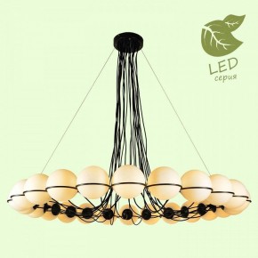 Подвесная люстра Lussole Seneca GRLSP-8176 в Тюмени - tumen.ok-mebel.com | фото 3