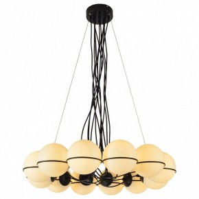 Подвесная люстра Lussole Seneca LSP-8177 в Тюмени - tumen.ok-mebel.com | фото