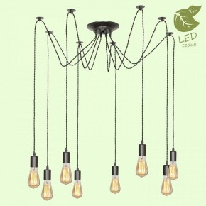 Подвесная люстра Lussole Shirley GRLSP-9840 в Тюмени - tumen.ok-mebel.com | фото 2