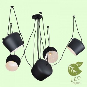 Подвесная люстра Lussole Shirley GRLSP-9919 в Тюмени - tumen.ok-mebel.com | фото