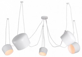 Подвесная люстра Lussole Shirley LSP-8175 в Тюмени - tumen.ok-mebel.com | фото