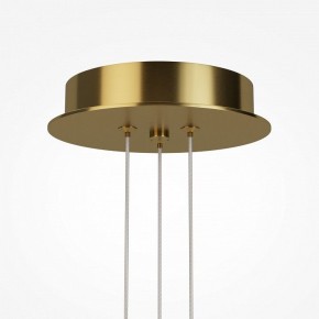 Подвесная люстра Maytoni Arana MOD401PL-L108BS3K в Тюмени - tumen.ok-mebel.com | фото 7