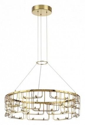 Подвесная люстра Odeon Light ZAHA 7060/44L в Тюмени - tumen.ok-mebel.com | фото 2