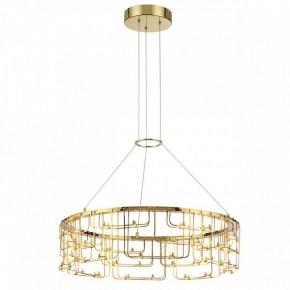 Подвесная люстра Odeon Light ZAHA 7060/44L в Тюмени - tumen.ok-mebel.com | фото 4