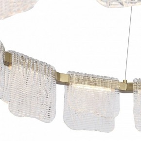 Подвесная люстра ST-Luce VOILE SL6021.203.66 в Тюмени - tumen.ok-mebel.com | фото 7